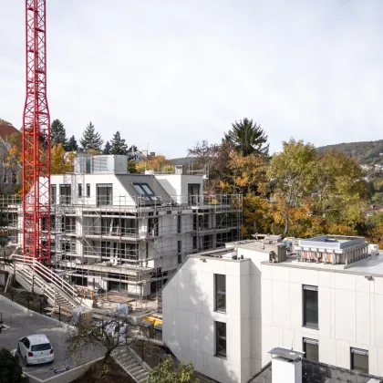 Luxus-Garten-Apartment mit beheizbarem Edelstahlpool - Bild 2