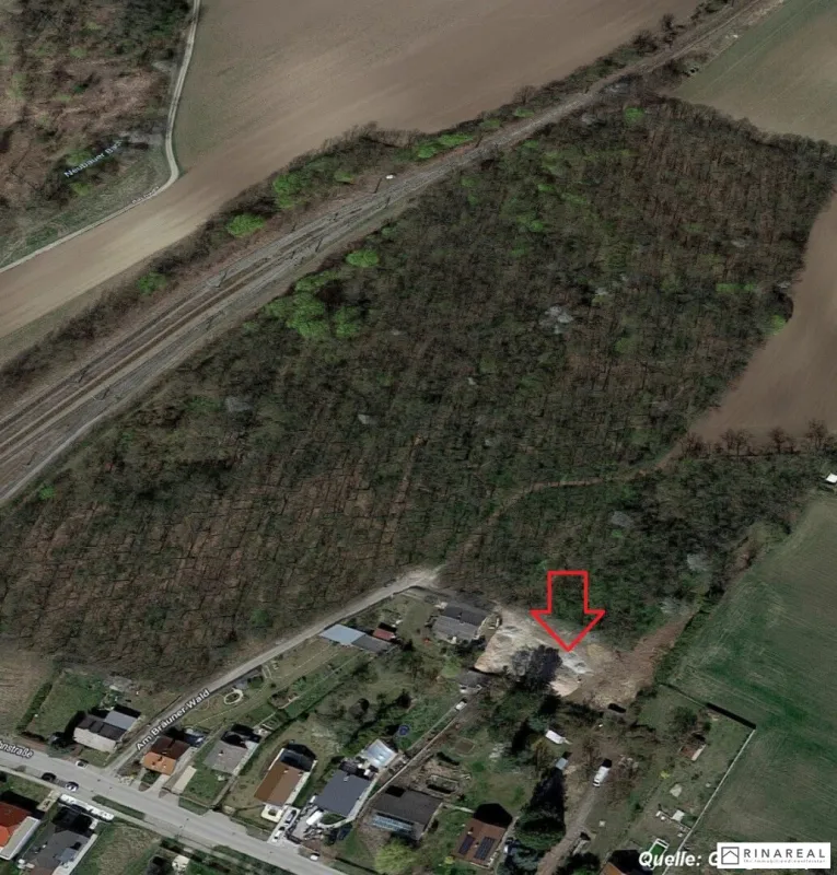 Baugrundstück - Am Bräuner Wald | 2125 Neubau (Bauplatz 1) - Bild 1