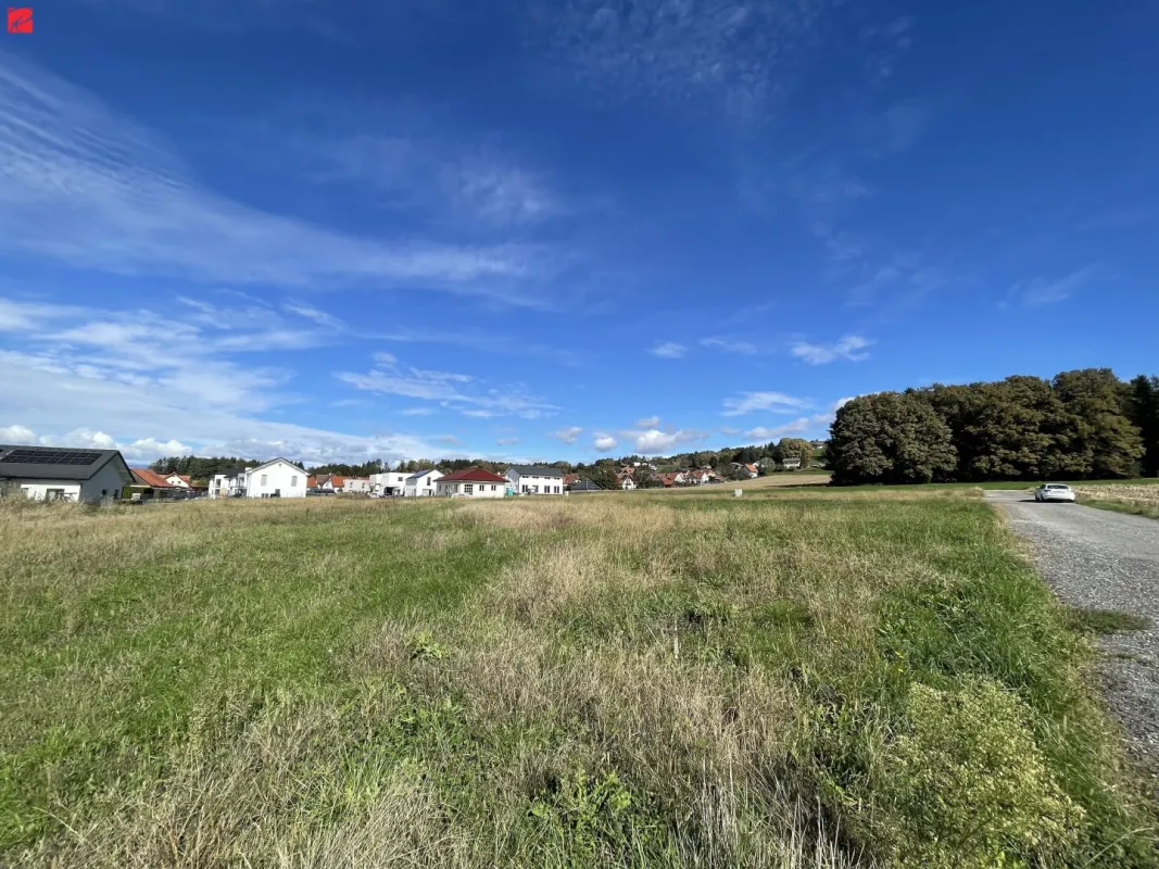 FLACHDACH: Erbauen Sie sich Ihr Traumhaus in malerischer Landschaft - Bild 1