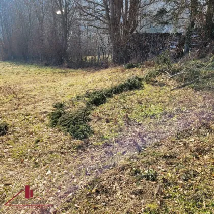 Wohnen im Grünen mit bester Infrastruktur – Ihr neues Zuhause in Pressbaum/ Rekawinkel.“ - Bild 3