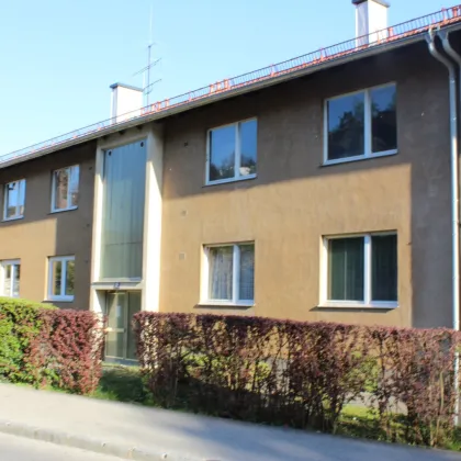 UNBEFRISTET in ausgezeichneter Lage - 2 Zimmer und extra Küche! - Bild 3