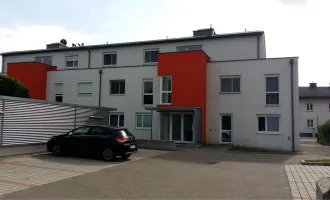Gemütliche 2-Zimmer-Wohnung mit Loggia in Loosdorf - Erstbezug nach Sanierung!