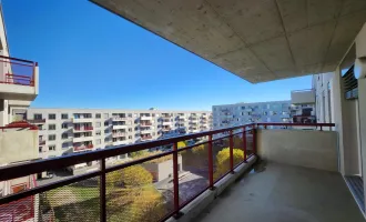 Eggenberger Gürtel 52/05/16