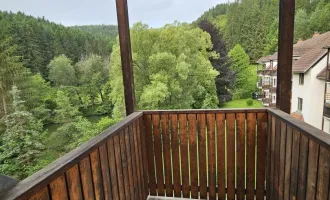 unbefristete 1-Zimmer-Wohnung mit Abstellraum, Balkon & Blick ins Grüne