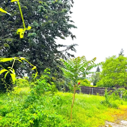 Bauträger aufgepasst! 1.750m² erzielbare Neubau-Wohnnutzfläche in sehr guter Lage! - Bild 3