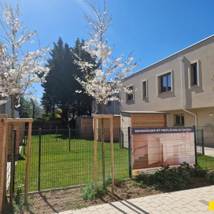 Hallo Familien! Reihenhäuser in Stammersdorf - Bild 3