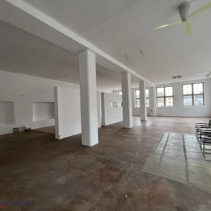 Atelier – Galerie – Büro – Gemeinschaftsmiete – Wohnen und Arbeiten - Bild 3