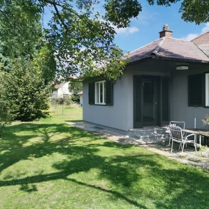 renovierter Bungalow mit Garten in Strasshof - Ihr Traumhaus für 550.000 €! - Bild 2