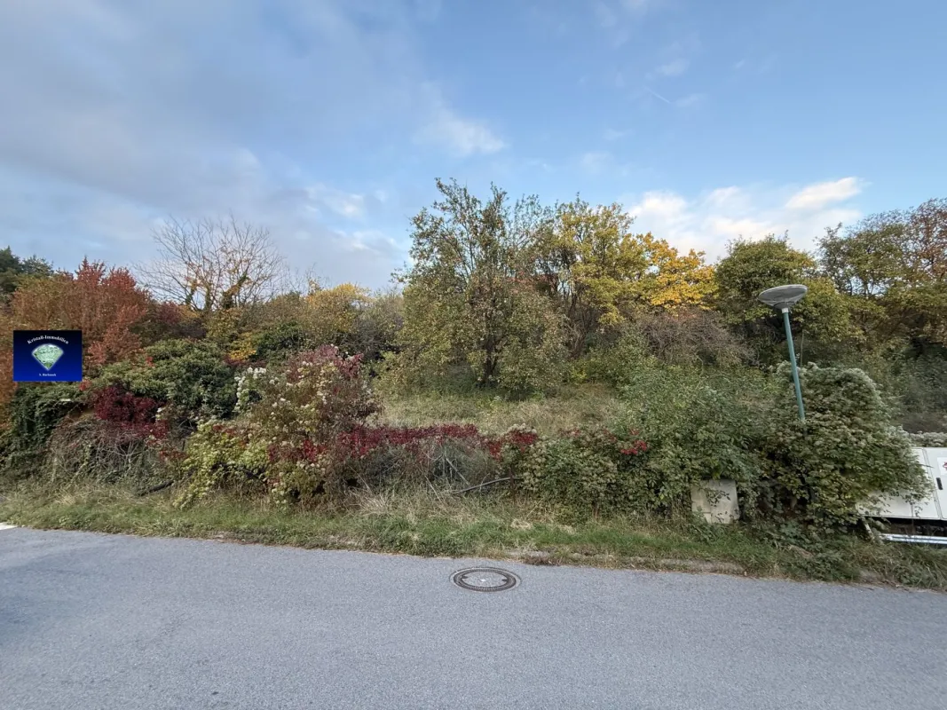 Sieggraben-001153 - Bild 1