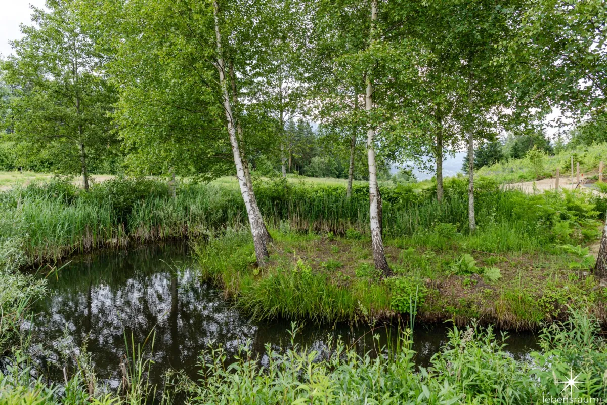 An neuer Siedlung angrenzend. Alleinlage mit Seeblick und Wald - Seeboden/Lurnbichl. - Bild 1