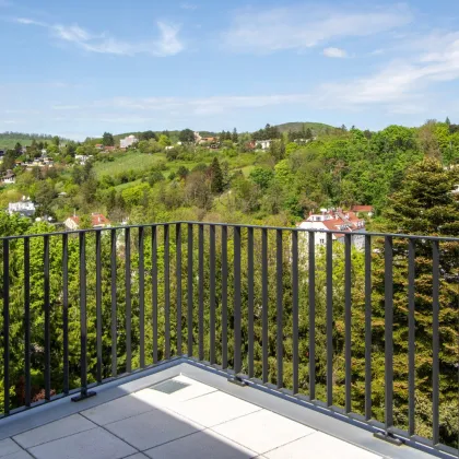 Quality Living mit Blick auf die Weinberge. - Bild 2