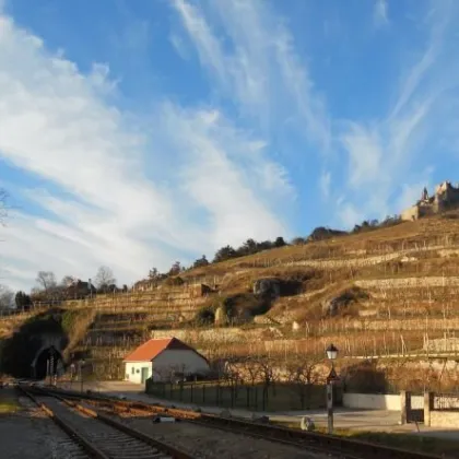 Modernes Zinshaus im Zentrum von Dürnstein - Bild 3