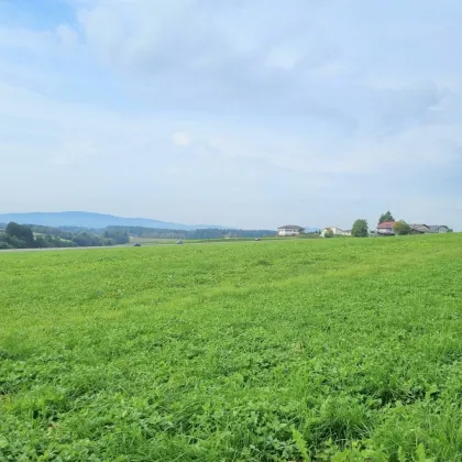 GEWERBEGRUND: BETRIEBSBAUGEBIET AN DER B1 - VÖCKLAMARKT - Bild 3
