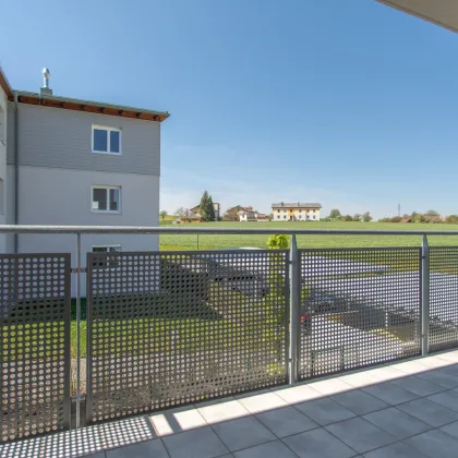 Kirnberg - herrliche 3 Zimmerwohnung mit Blick ins Grüne - Bild 2