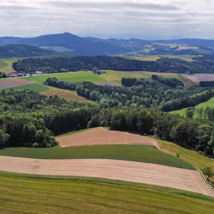 Ruhe, Platz und Entfaltungsmöglichkeiten gesucht?? - Bild 2