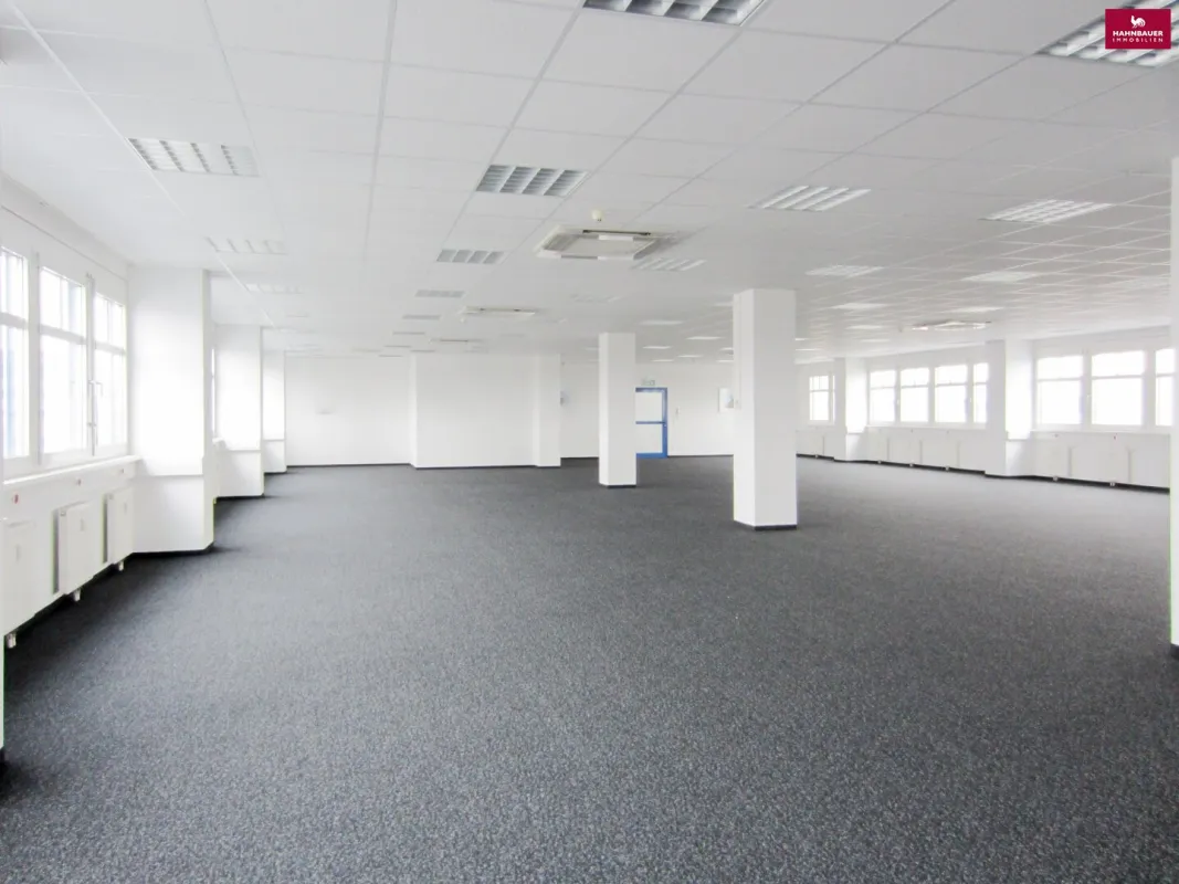 Büro 550 m2 südlich von Wien in Wr. Neudorf - Bild 1