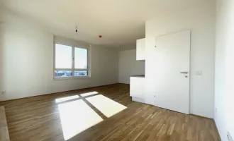 Moderne Architektur – hochwertige Qualität