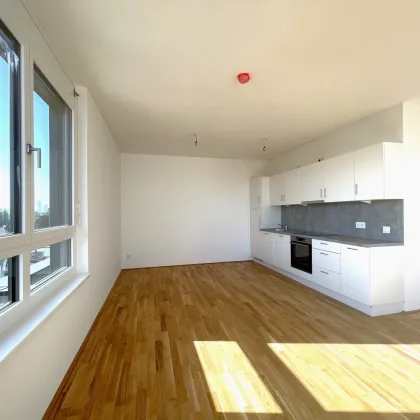 Moderne Architektur – hochwertige Qualität - Bild 3