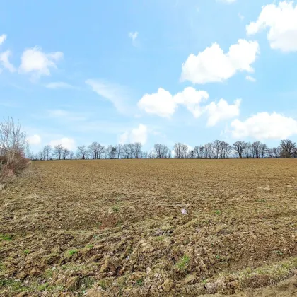 Großes Betriebs-Baugebiet direkt an der Autobahn A8! - Großes Potential als Pacht oder Baurecht. - An der Grenze zu DE. - Bild 2