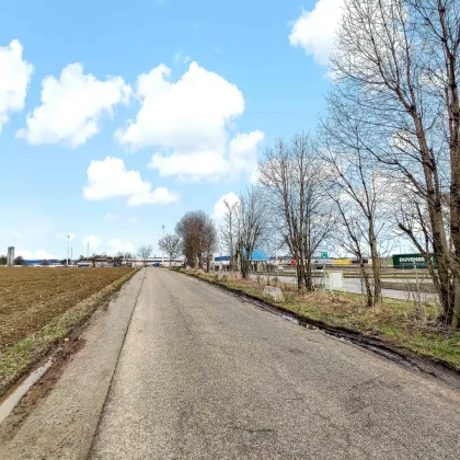 Großes Betriebs-Baugebiet direkt an der Autobahn A8! - Großes Potential als Pacht oder Baurecht. - An der Grenze zu DE. - Bild 3