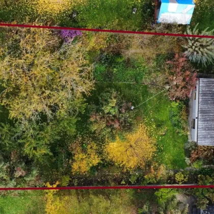 DB IMMOBILIEN | Gartenparadies mit Altbestand !!! - Bild 3