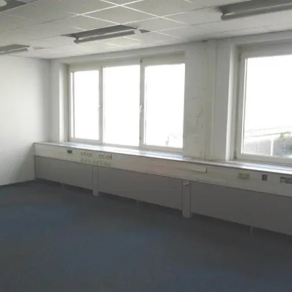 Gewerbeobjekt: Lager im EG mit 46 m² + Büro im 2.OG mit 55 m², Stellplätze - Bild 3
