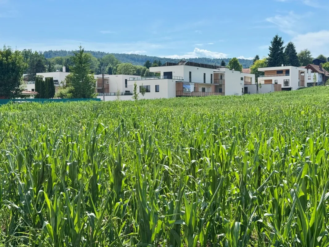 Entspannte Wohnatmosphäre: 2-Zimmer-Oase im Neubauprojekt Am Kehlberg - Bild 1