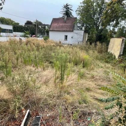 Attraktives, baubewilligtes Wohnbauprojekt in sehr guter Lage ! - Bild 3