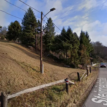 Baugrundstück am Südhang nähe Weidlingbach / NÖ - Bild 2