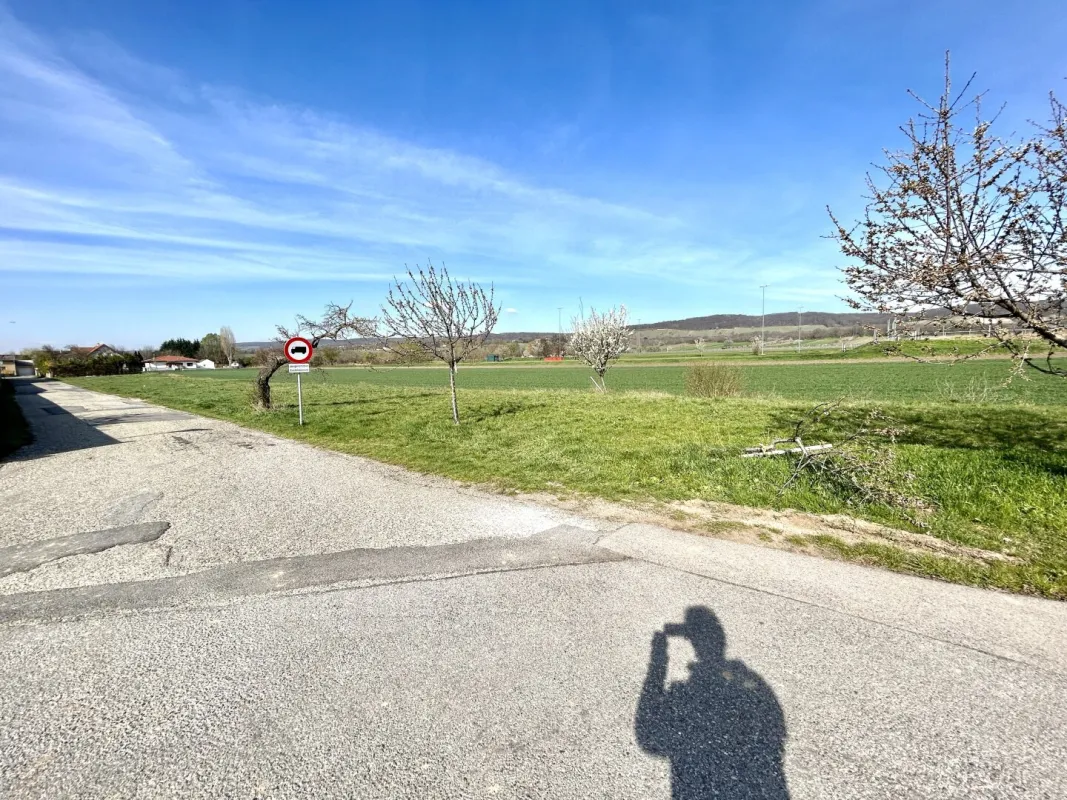 Bauträgergrundstück in Winden am See mit Bebauungstudie - Bild 1