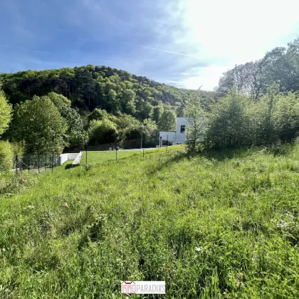 Kleines Paradies: 1.586m² großes Baugrundstück in 2371 Hinterbrühl - Bild 2