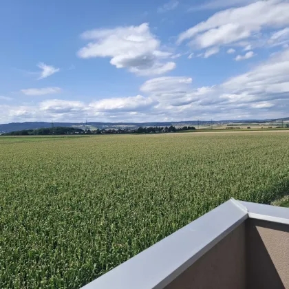 Willkommen in der exklusiven Wohnhausanlage Nova Terra! - Bild 2