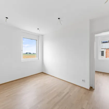 Familienfreundliche Häuser mit 4 Zimmern und großzügigen Freiflächen - Bild 3