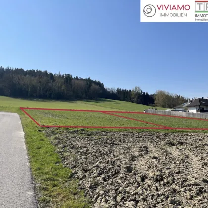 Wohnprojekt Blumenweg TOP 1: Leistbare Doppelhaushälften in Kematen am Innbach! - Bild 3