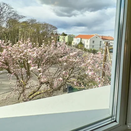 ++ RARITÄT + LAAER WALD / BÖHMISCHER PRATER + 204 m² EINFAMILIENHAUS auf 547 m² ECKGRUNDSTÜCK + RUHEOASE und PRIVATSPHÄRE mit WIEN-WEITBLICK + 1100 WIEN ++ - Bild 2