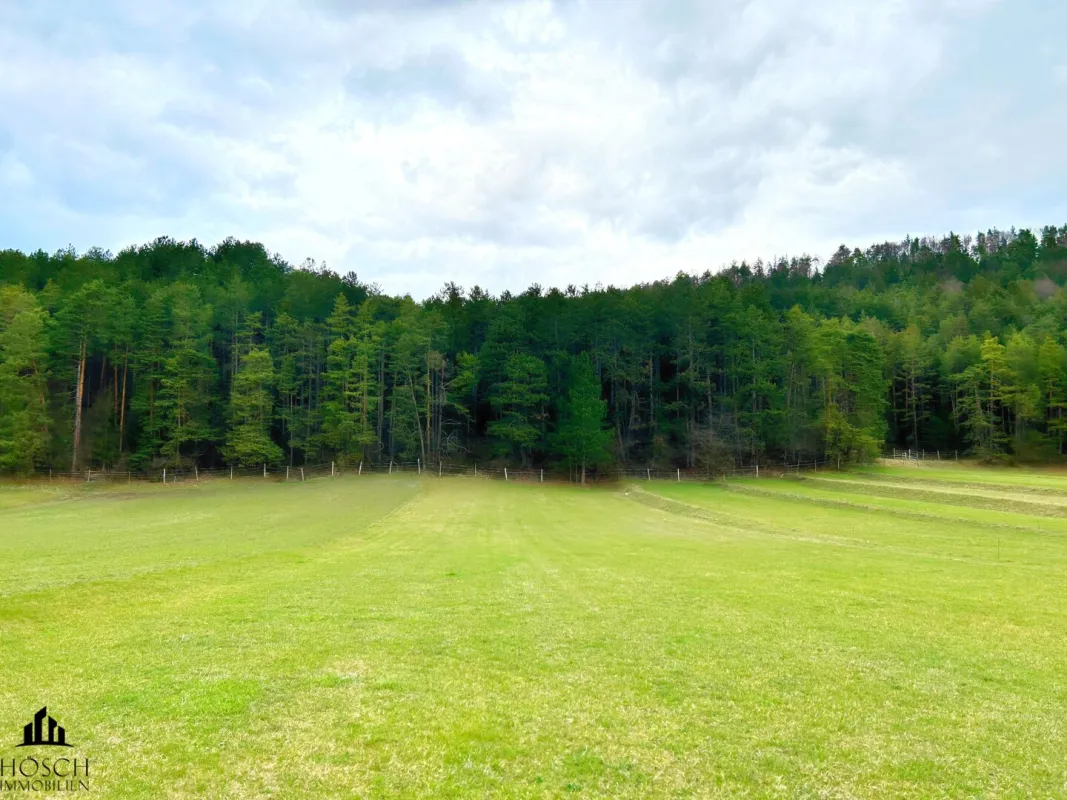 Die Perle des Piestingtales | Hinreißendes Grundstück mit Bergblick - Bild 1