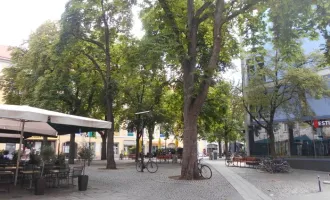 Altstadt nahe Färberplatz Geschäftslokal vielseitig nutzbar, in ruhiger Seitengasse