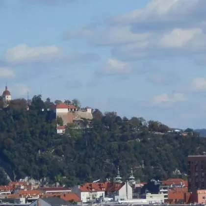 Q5 am PARK großartiger Ausblick 2ZI mit 12m² Ost/ Balkon - Bild 3