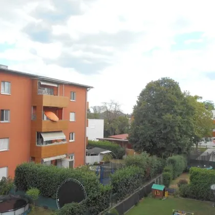 Grottenhofstraße 3ZI sonnig, ruhig  3./letztes OG mit Balkon/ Ost - Bild 2