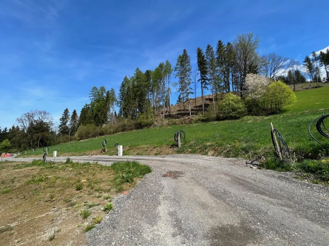 Baugrund am Waldrand mit Traumaussicht - Bild 1
