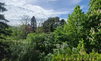 Entzückende 3-Zimmer-Wohnung mit Loggia und Kamin in absoluter Ruhelage