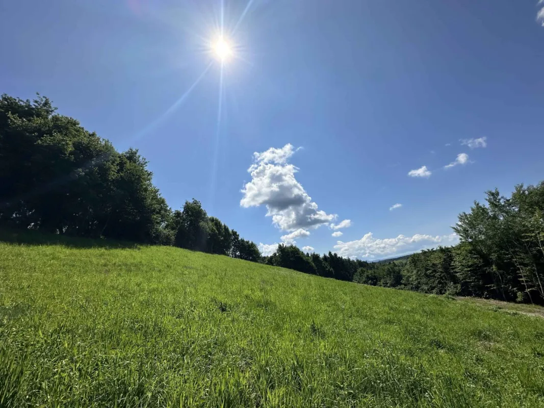 Ideal für große und kleine Bauträger! Tolles Baugrundstück  mit beeindruckendem Ausblick nahe des Grazer Stadtrands am Kaiserbergs in Lannach - Bild 1