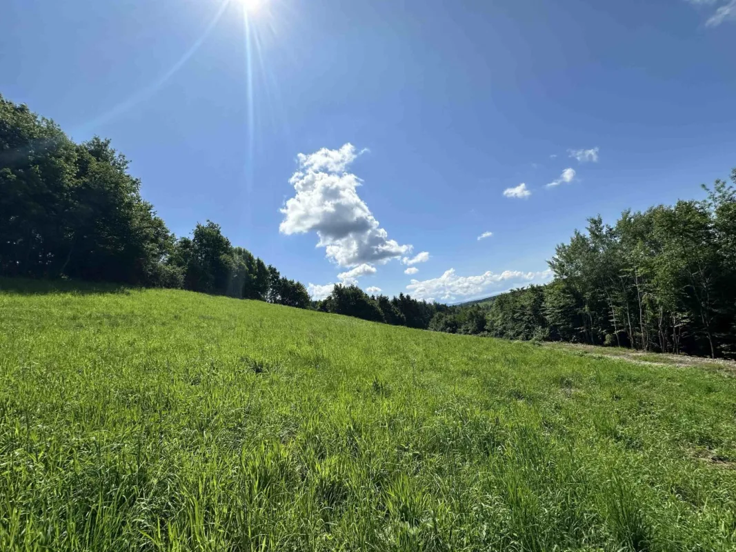 Ideal für große und kleine Bauträger! Tolles Baugrundstück  mit beeindruckendem Ausblick nahe des Grazer Stadtrands am Kaiserbergs in Lannach - Bild 1