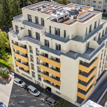 Die erste eigene Wohnung! - Bild 3