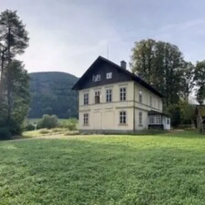 Herrschaftliches Landhaus - Bild 2