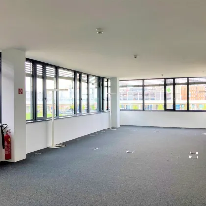 Top ausgestattete Bürofläche in Wien mit Terrasse und Tiefgarage in der Seestadt Wien - Bild 2