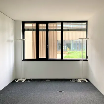 Top ausgestattete Bürofläche in Wien mit Terrasse und Tiefgarage in der Seestadt Wien - Bild 3