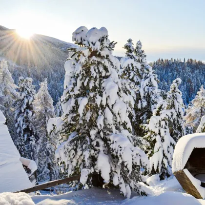 Turracherhöhe: Außergewöhnliches Highlight mit atemberaubendem Fernblick. - Potential für weiteren Zubau. - Bild 2