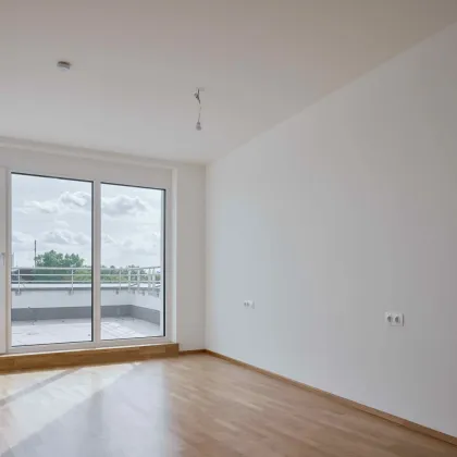 Top 17K | Helles Eigentum in Weingegend – 70 m² - Bild 3