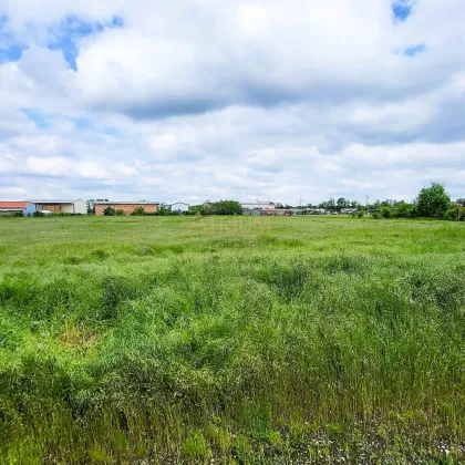 12.490m² UNBEBAUTES BETRIEBSBAUGRUND - Bild 3